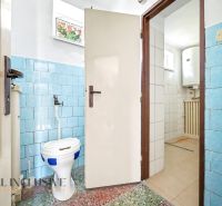 Ein Badezimmer in einem Einfamilienhaus mit blauen Fliesen und einer separaten Toilette.