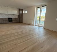 Küche und Wohnbereich mit Holzboden in einer 3-Zimmer-Wohnung.