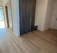Der Flur in einer 3-Zimmer-Wohnung mit einem Holzboden und einem Einbauschrank.