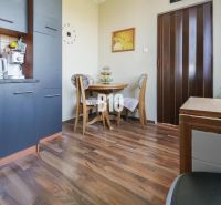 Küchenecke in einer 2-Zimmer-Wohnung mit Holzboden und Esstisch.