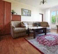 Wohnzimmer mit Sofa, Teppich und Holzboden in einer 2-Zimmer-Wohnung.