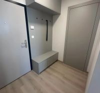 Eingangsflur in einer 2-Zimmer-Wohnung mit Holzboden und Stauraum.