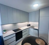 Küche in einer 2-Zimmer-Wohnung mit Holzboden und grauen Schränken.