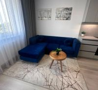 Wohnzimmer mit blauem Sofa, Tisch, Vorhängen und Holzboden.
