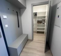 Eingangsflur mit Schrank und Boden in Holzoptik in einer 2-Zimmer-Wohnung.