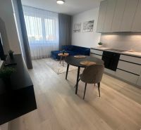 Wohnzimmer in einer 2-Zimmer-Wohnung mit Holzboden, Esstisch und Sofa.