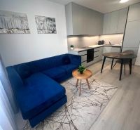 Wohnzimmer mit Küche in einer 2-Zimmer-Wohnung, Holzboden, dunkelblaue Couch.