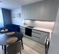 Küchenecke mit Kochfeld, runder Tisch, Sofa, Boden mit Holzdekor.