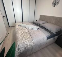 Schlafzimmer in einer 2-Zimmer-Wohnung mit Bett, Kleiderschrank und Holzboden.