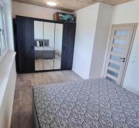 Schlafzimmer in einem Einfamilienhaus mit Holzboden, einem Spiegelschrank und einem Bett.