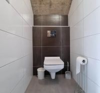 Toilette in einem Einfamilienhaus mit weißen und braunen Fliesen.