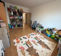 Ein Kinderzimmer mit einem Holzboden voller Spielzeug und Spiele in einer 3-Zimmer-Wohnung.