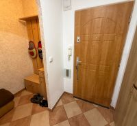 Eingangsbereich einer 3-Zimmer-Wohnung mit Holzboden und Stauraum.