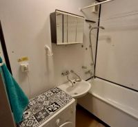 Badezimmer in einem Studio-Apartment mit Badewanne, Waschbecken, Schrank und Waschmaschine.