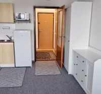Einzimmerwohnung mit Kühlschrank, Schrank und Boden in Holzoptik.
