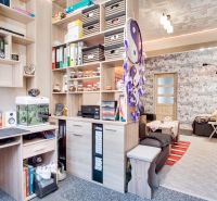 Arbeitsbereich und Wohnzimmer in einer 2-Zimmer-Wohnung mit Regalen und Dekorationen.