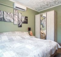 Schlafzimmer in einer 2-Zimmer-Wohnung mit Klimaanlage und Kunst an der grünen Wand.