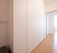 Flur mit einem Schrank und einem Boden mit Holzdekor in einer 2-Zimmer-Wohnung.
