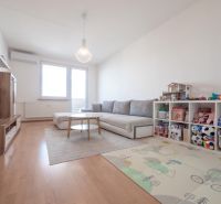 Wohnzimmer in einer Zweizimmerwohnung mit Holzboden und Kinderspielzeug.