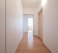 Der Flur in einer 2-Zimmer-Wohnung mit Schränken und einem Boden in Holzoptik.