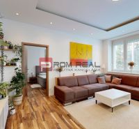 Wohnzimmer in einer 3-Zimmer-Wohnung mit Sofa, Pflanzen und einem Boden in Holzoptik.