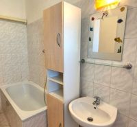 Badezimmer mit Badewanne und Waschbecken in einer Einzimmerwohnung.