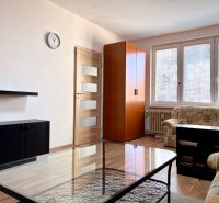 Wohnzimmer mit Sofa, Schrank und Holzboden in einer 2-Zimmer-Wohnung.