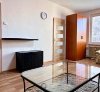 Wohnzimmer in einer 2-Zimmer-Wohnung mit Holzboden, Sofa und Schrank.