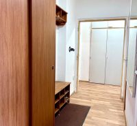 Flur mit Holzboden und Einbauschränken in einer 2-Zimmer-Wohnung.