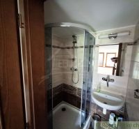 Badezimmer mit Duschkabine, Waschbecken und Spiegel.