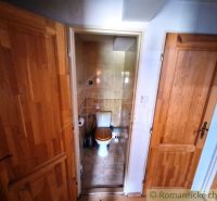 Kleines Badezimmer mit Toilette, zwei Türen, Boden mit Holzdekor.