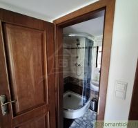 Badezimmer mit Eckdusche und rustikalen Holztüren in Geschäftsräumen.