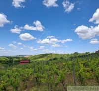 Weinberge und Hütten in Gbelce unter klarem blauem Himmel mit Wolken.