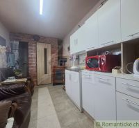 Eine Küche in einer Hütte mit weißen Schränken, einer roten Mikrowelle und Ledersofas.