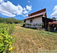 Ein Haus bei Gbelce, umgeben von Weinreben und grüner Landschaft unter blauem Himmel.