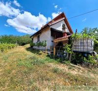 Ein Ferienhaus in Gbelce, umgeben von Grün und Weinbergen unter blauem Himmel.