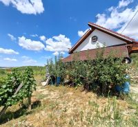 Ein Häuschen in Gbelce, umgeben von Weinreben und Grün unter blauem Himmel.