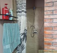 Badezimmer in einer Hütte mit Ziegelwand, Dusche und Badezimmerzubehör.