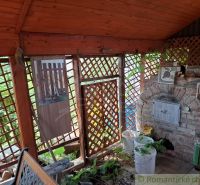 Überdachte Terrasse der Hütte in Gbelce mit gemauertem Außenkamin und Pflanzen.