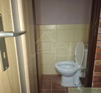 Eine Toilette mit Fliesen und einer Ziegelwand im Inneren einer Hütte.