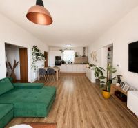 Wohnzimmer in einer 3-Zimmer-Wohnung mit Holzboden und grünem Sofa.