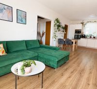 Wohnzimmer in einer 3-Zimmer-Wohnung mit einem bequemen grünen Sofa und einem Boden in Holzoptik.