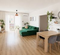 Wohnzimmer mit Holzboden, grünem Sofa und Pflanzen in einer 3-Zimmer-Wohnung.