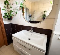 Badezimmer in einer 3-Zimmer-Wohnung mit Spiegel, Waschbecken und Pflanzen an den Wänden.