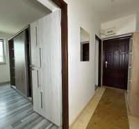 Flur in einer 2-Zimmer-Wohnung mit Holzboden und Einbauschränken.