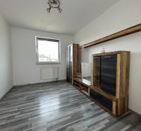 Wohnzimmer in einer 2-Zimmer-Wohnung mit Holzboden und Möbeln.