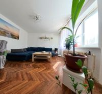 Wohnzimmer in einem Einfamilienhaus mit Sofa, Pflanzen und Holzboden.