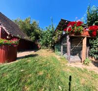 Ein Garten mit grünem Gras und Blumen bei einem Einfamilienhaus in Tesárske Mlyňany in der Školská-Straße.