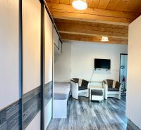 Wohnzimmer in einer 2-Zimmer-Wohnung mit Holzdecke und Boden in Holzoptik.