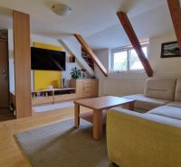 Wohnzimmer in einer 2-Zimmer-Wohnung mit Sofa, Dachbalken und Boden in Holzoptik.
